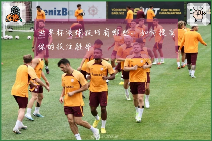 世界杯滚球技巧有哪些，如何提高你的投注胜率