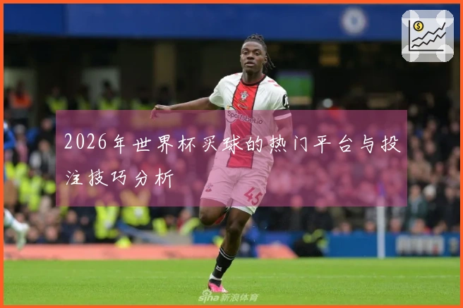 2026年世界杯买球的热门平台与投注技巧分析