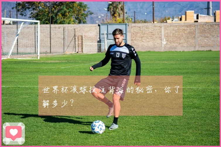 世界杯滚球投注背后的秘密，你了解多少？