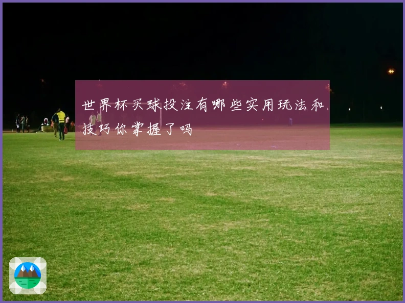 世界杯买球投注有哪些实用玩法和技巧你掌握了吗