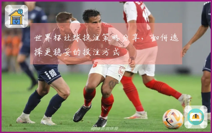 世界杯让球投注策略分享，如何选择更稳妥的投注方式