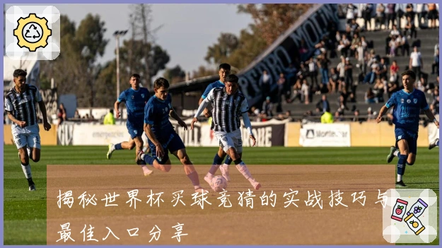 揭秘世界杯买球竞猜的实战技巧与最佳入口分享