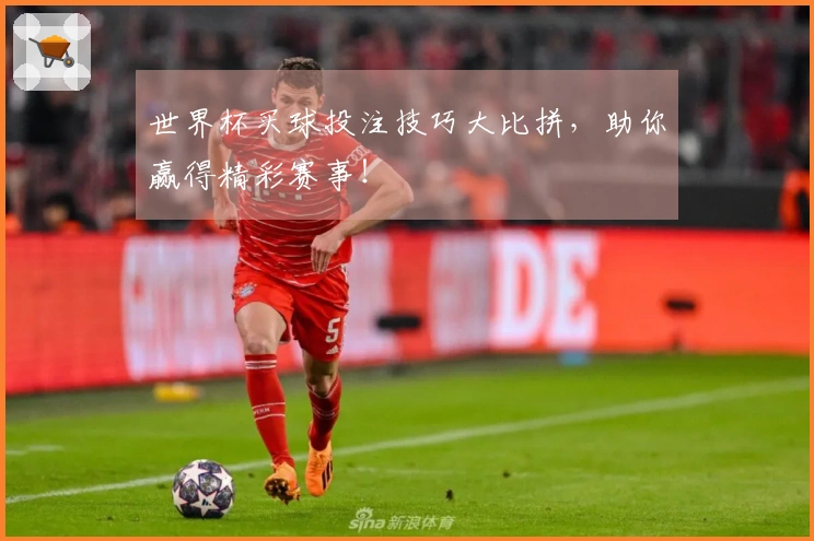 世界杯买球投注技巧大比拼，助你赢得精彩赛事！